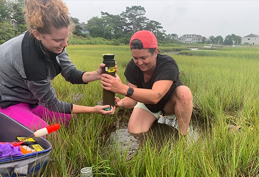 Elizabeth Wilbanks and Victoria Jones collect a mud core in a Massachusetts salt marsh.
