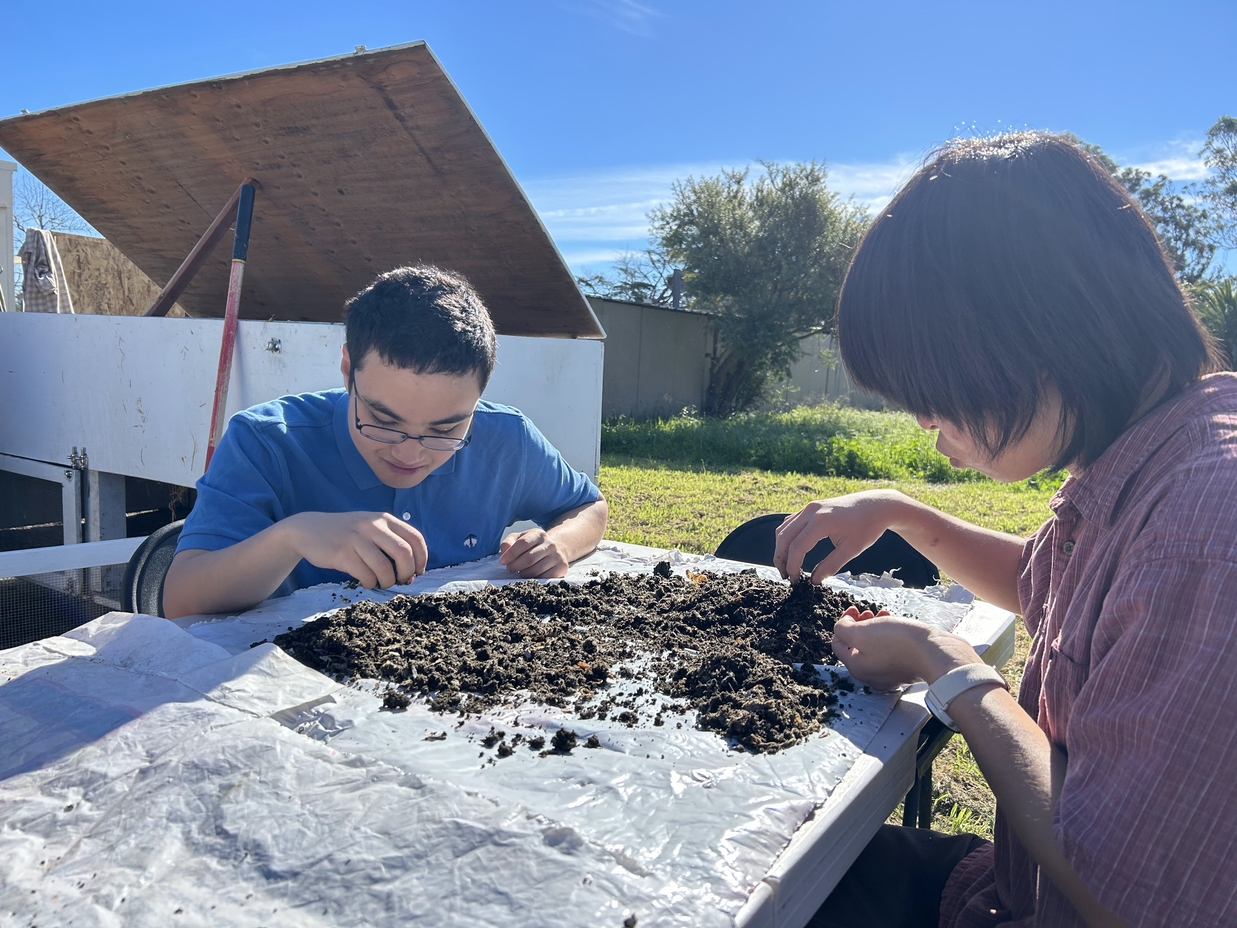 Ben Wollack and a fellow student sitting at an outdoor table, carefully sorting through a pile of dark compost soil.