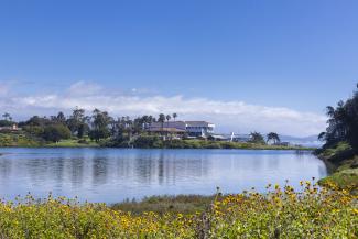 A view of the UC Santa Barbara Lagoon with yellow flowers in the foreground and the Mosher Alumni House on the far bank under a bright blue sky.