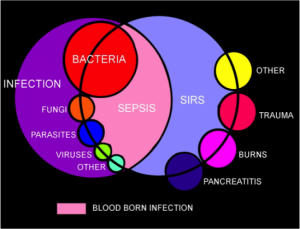 Venn diagram portraying relationships, including infection, bacteremia, sepsis and the Systemic Inflammatory Response Syndrome. Photo Credit: Steven Burdette
